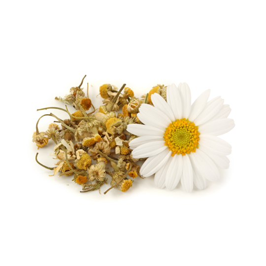 Chamomile Extract 3