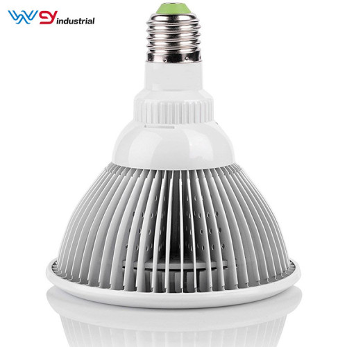 LED Red Light Therapy Hair 24W 36W