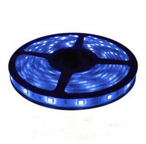 5m Warm White / White Flexible Led Strip Light With Ce &amp; Rohs