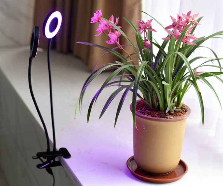 Home Office Grow Light With Clamp 40W