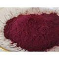 Ekstrak Bilberry