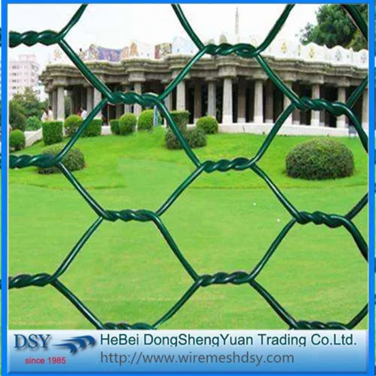 Poultry Net Hexagonal Wire Mesh for Protection