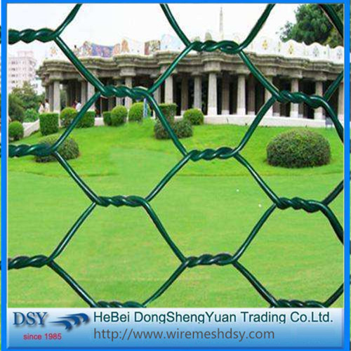 Anping Professional Hexagonal Wire Mesh