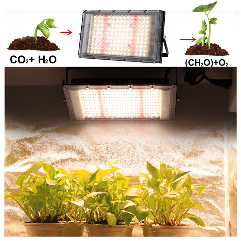 300w Led Grow Light