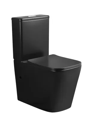 Matt Grey Luxury Design P-Trap & S-Trap Two-Piece Toilet