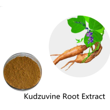 Buy online raw materials Kudzuvine Root Extract powder