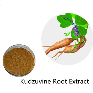 Buy online raw materials Kudzuvine Root Extract powder