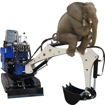 Mini Crawler Excavator and Compact Hydraulic Mini Excavator for Sale