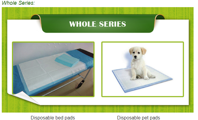 Training Pet Pad