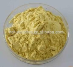 Chrysanthemum tea powder