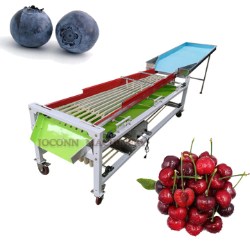 Multi-frutuit Dimensioni e grado di smistamento: mirtillo, agrumi, pomodoro, fragola, mangosteen