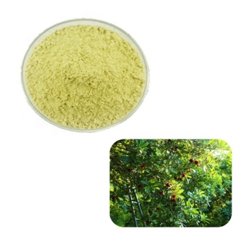 Bayberry Root Bark Extract