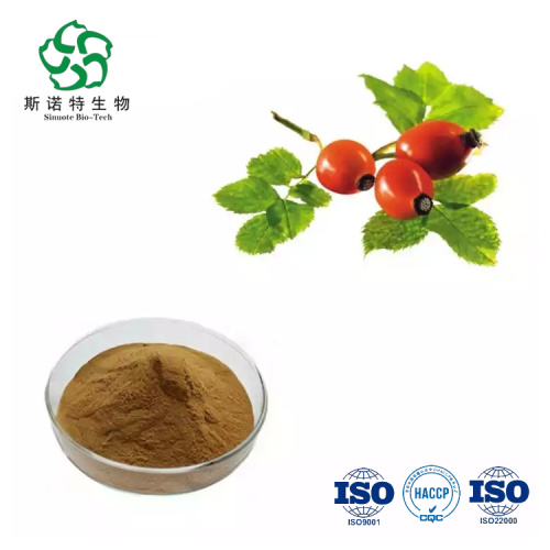 Pure Natural Rosa Canina Extract Powder Water Soluble