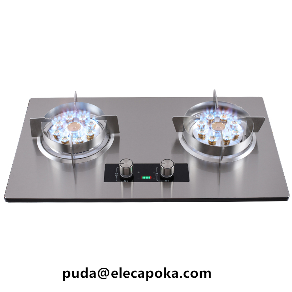 stainless steel Gas Stove Double Burner