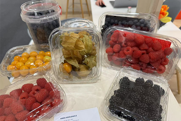Sequoia Enterprise Ltd at Fruit Logistica Berlin 2025 Innovating Sustainable Fresh Produce Packaging! ✨ Sequoia Enterprise Ltd at Fruit Logistica Berlin 2025 Innovating Sustainable Fresh Produce Packaging! ✨