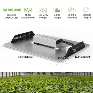 2020 Latest Design Best Led Grow Light