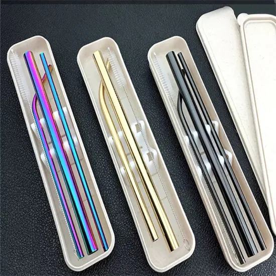 Stainless Steel Straw With Case