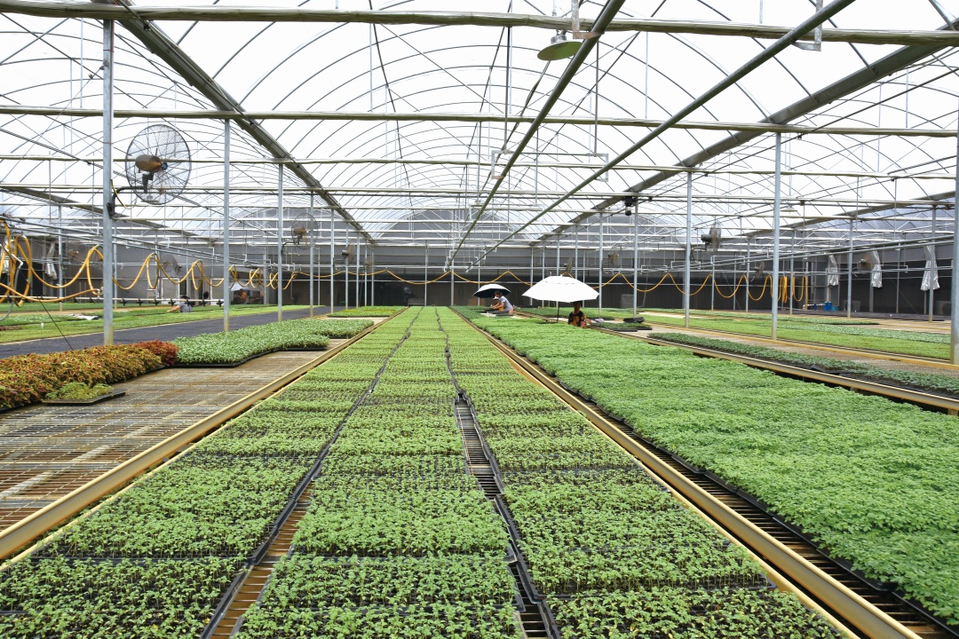 8 greenhouse film high mechanical performance