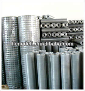 Hot-dip Galvanzied Welded Wire Mesh( HOT SALE)