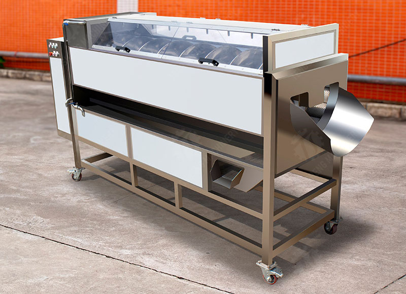 potato washing and peeling machine