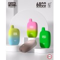 FLUM PEBBLE vape 6000puffs