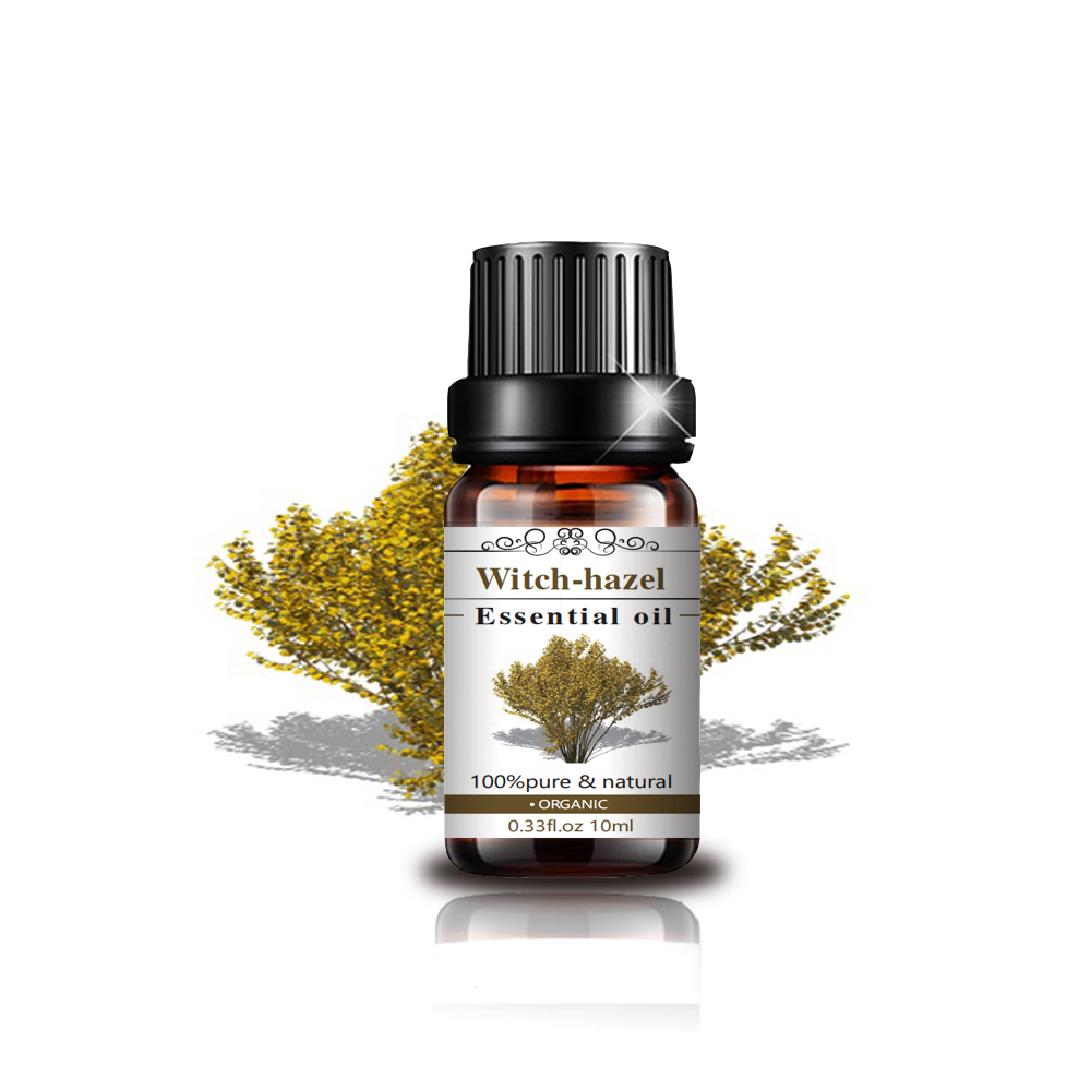 Pure Natural Organic Wholesale Witch-Hazel Oil for Massage Aromatherapy