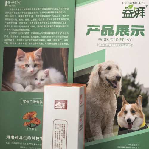 Suplementos nutricionales para perros y gatos en neurología