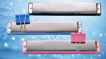 24 Holes Student Harmonica