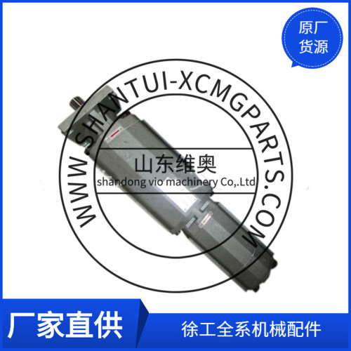 XCMG Parts Parts Pump Pump 803000411