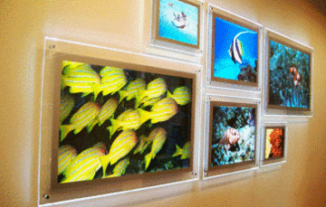 Crystal Light Box ( Wall Mounted)