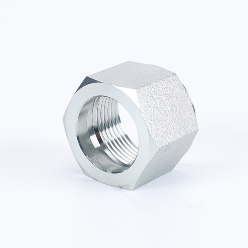 Ferrule Pipe Connector Cap Nuts Pipe Fittings Stainless Steel Hexagon Nut Supplier