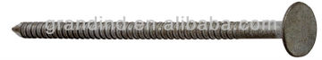 1007 Nail