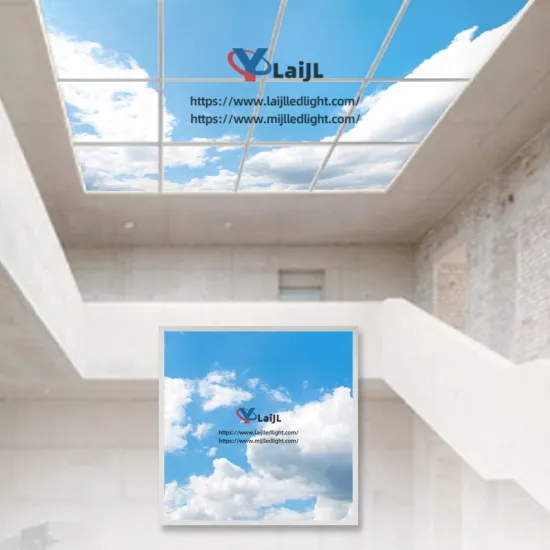 Jiaxing LED Panel Light Factory - 600*600 603*603 595x595 Sky Light Panel 2x2ft Ceiling LED Skylight