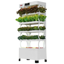 Интеллектуальная машина для посадки овощей YD07GBC-B04-MJ