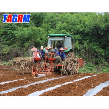 Sembradora de caña de azúcar de 2 filas de bajo precio