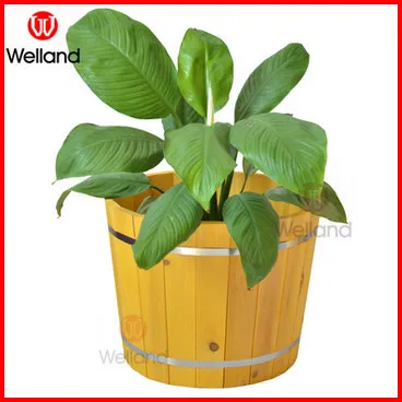 Balcony Wooden Flower Boxes Stan Yellow Cedar Barrel Planters