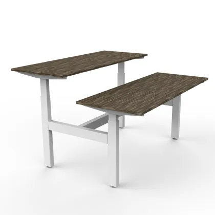 Furniture Double Motor Desk Computer For 2 Person