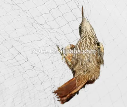 polyester bird network, red bird net, rede para apanhar passaros