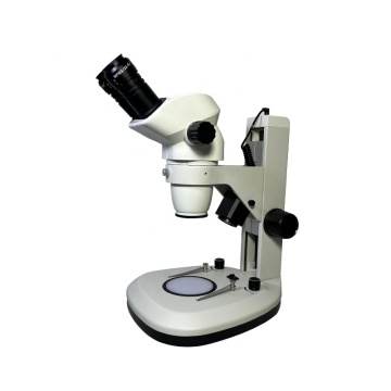 XTL6555-J3-B Binocular Stereo Microscope with Up-Down Illumination Pillar Stand
