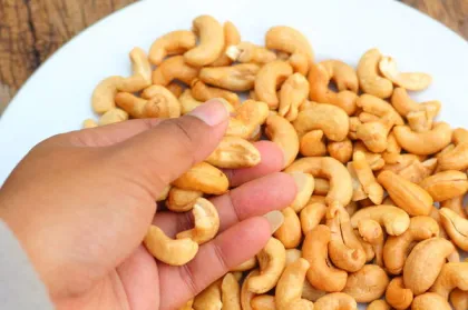 Vietnam dried raw cashew nuts