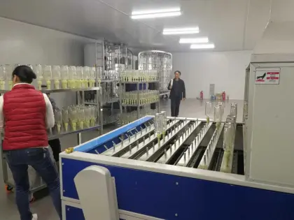 Industrial tunnel oven equipment