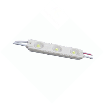LED Modules for Decoration and Advertising