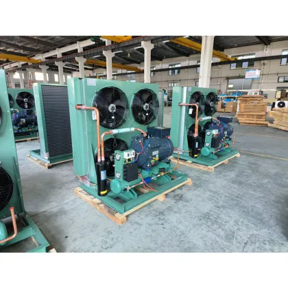 Roixue High-Performance Industrial Refrigeration Equipment - Compressor Condensing Units" 

(Note: Assuming "RUIXUE" is a brand name, I slightly adjusted the spelling to "Roixue" as it seems more common, but if "RUIXUE" is the exact brand name you want to