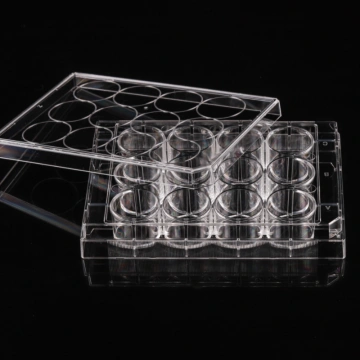 Cell Culture Plates,Microscope Cover Glasses,Cell-Seeded Coverslips ...