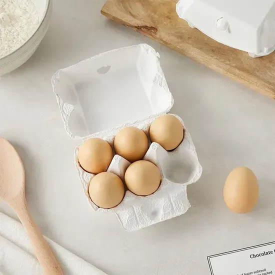 Biodegradable Chicken Egg Cartons for Refrigerator