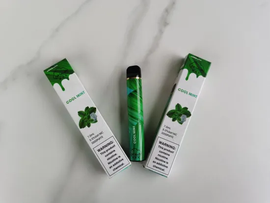 Disposable Electronic Cigarette with 3000 Puffs