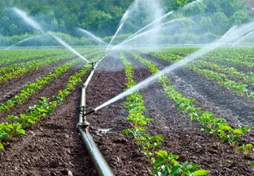 Superabsorbent for Agriculture 20 21