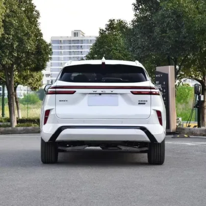 WEY Mocha DHT PHEV: 5 Seat Hybrid SUV