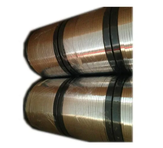 Aluminum Strip Dust Cover Accessories: Fixing Your Nose with Precision