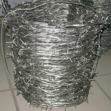 Airport Fencing Wire Mesh Barbed Wire